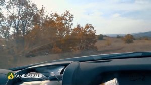 ADRENALİN YÜKLÜ MÜKEMMEL YABAN DOMUZU AVI - FULL ADRENALIN BEST WILD BOAR HUNTING- HOG-  domuz avı