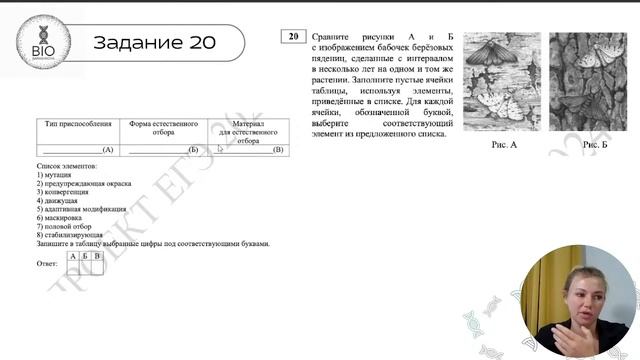 ОБНОВЛЕНИЯ ЕГЭ ПО БИОЛОГИИ 2024 | РАЗБОР ДЕМОВЕРСИИ 2024 |BioBarashkova #биология #егэ #биологияегэ
