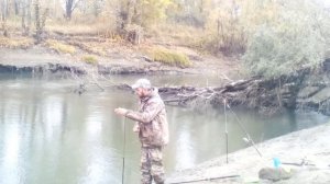 Рыбалка на Оби в Новосибирске. Убийца карася в деле!!! Шикарный клёв!