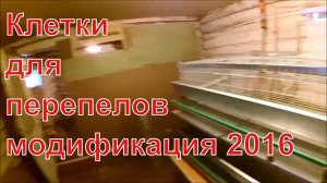 Клетки для перепелов от Дмитрия Бочарова