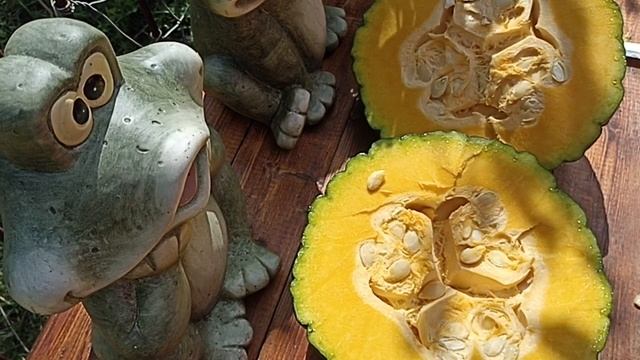 ТЫКВА СОРТ МАРИНА ИЗ КИОДЖА // ЧТО НА ВКУС??? смотреть онлайн