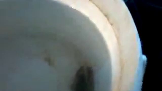 Запускаю речных раков в аквариум. смотреть онлайн