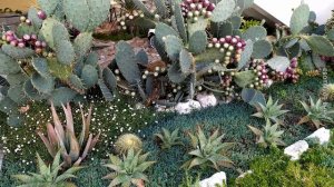 Пансионат Горный Воздух. Лоо. Отдых на море