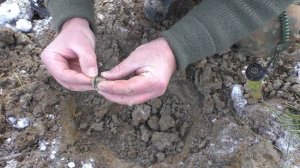 Первый КОП на болоте в зимнем лесу Nokta / Makro ANFIBIO!