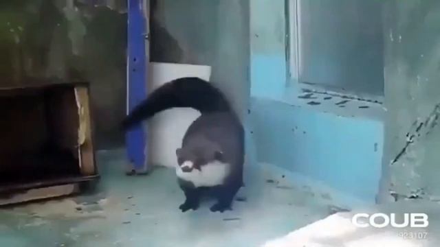 Persona 4 Music Hits Different смотреть онлайн