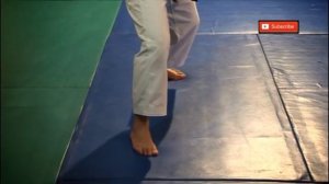 Heian Nidan - Important Points and Bunkai - Karin Prinsloo - Shotokan Kata