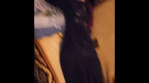 Цыганский сериал