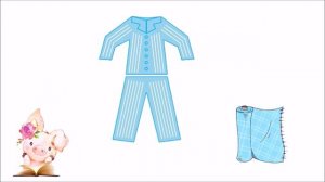 одежда какие