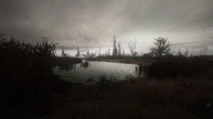 AUTUMN SEASON REDUX