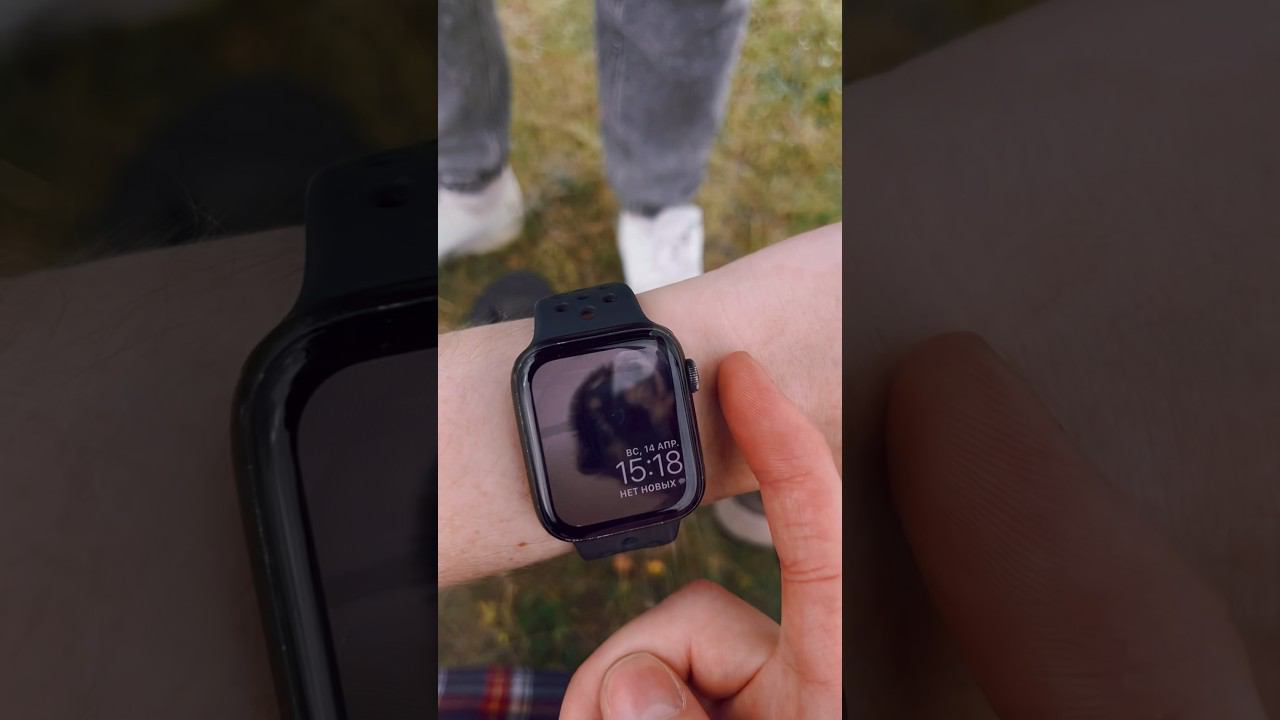 #pedro #raccoon смотреть онлайн