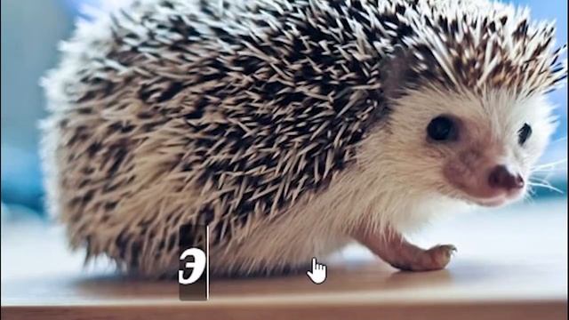 КАК СОЗДАТЬ ПОСТИРОНИЧНЫЙ МЕМ смотреть онлайн