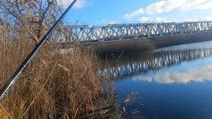 Все секреты ловли окуня осенью по холодной воде! Как ловить по траве на реке?