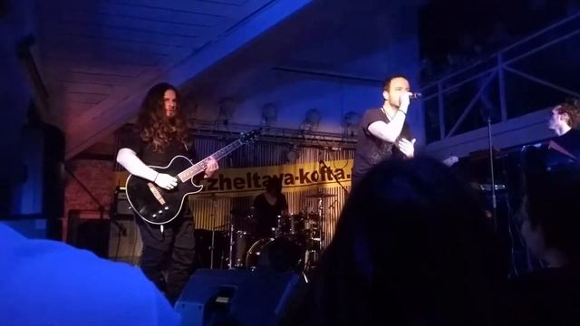Animal Джаz Желтая Кофта(1)