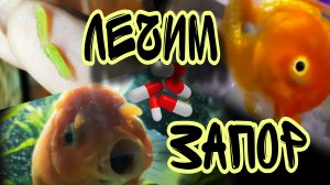 Оранда в ОПАСНОСТИ: у нее ЗАПОР