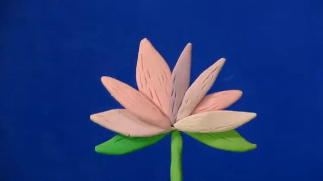 bloom смотреть онлайн