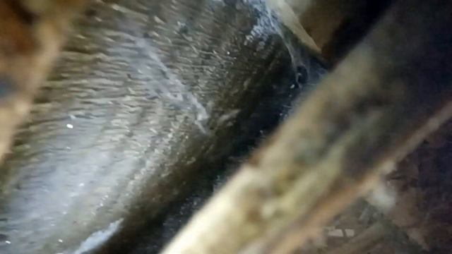 ЧТО МЕЖДУ СТЕНАМИ В КУРЯТНИКЕ-WHAT'S BETWEEN THE WALLS IN THE CHICKEN COOP смотреть онлайн