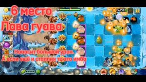 мой топ растений из пвз 2