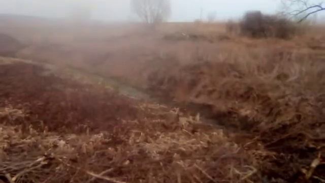 строительство  пруда- копани 3000 кв.м. (начало)