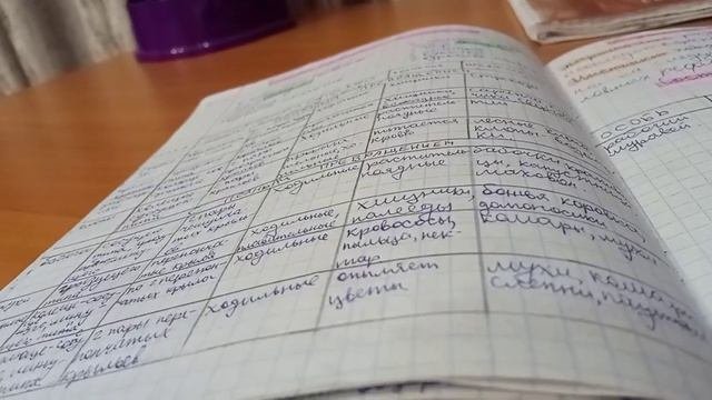 КАК НАЧАТЬ ХОРОШО УЧИТЬСЯ? КАК СЕБЯ ЗАМОТИВИРОВАТЬ?