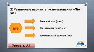 от нуля до свободного владения ( полный курс немецкого языка ) урок (9) #немецкий