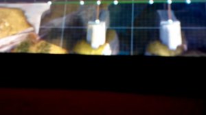 Мост какой невозможно сделать