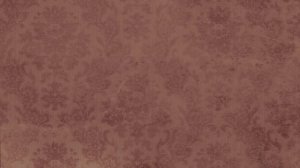 Стоимость размещения в гостинице «Петербургская кошка»