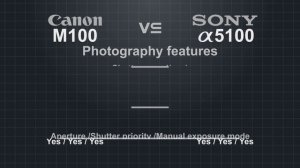 Canon EOS M100 vs Sony alpha a5100