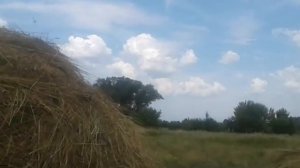 Как правельно скирдовать сено. Чтоб не протекло.