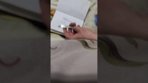 размеры зимних блёсен на судака