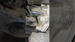 Шприцевание карданных валов на  Toyota Fortuner 2019  года , бензин АКПП