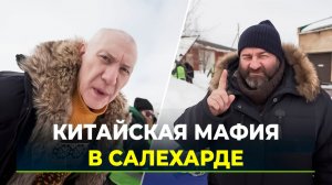 Китайская мафия захватила Салехард. 4 сезон сериала «Полярный» снимают на Ямале