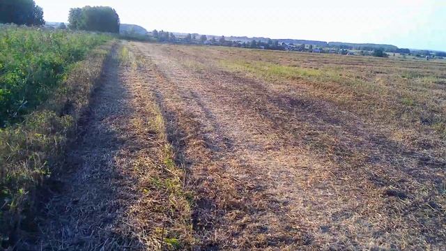 По грибы, ...про грибы. Озеровка. смотреть онлайн