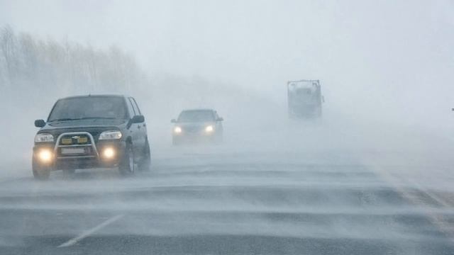 ЖЕЛ КҮШЕЙІП КӨКТАЙҒАҚ БОЛАДЫ. АУА РАЙЫ 3 ҚАҢТАРҒА смотреть онлайн