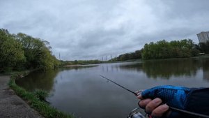 ОХ, УЖ ЭТА ВОРОНА. Мормышинг. Рыбалка 2023. Весенний Наноджиг. проект