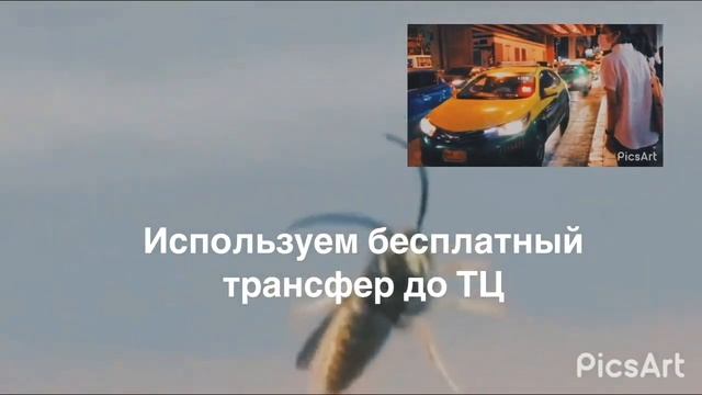 Государственная помощь путешественникам и другие лайфхаки по бесплатным и недорогим путешествиям