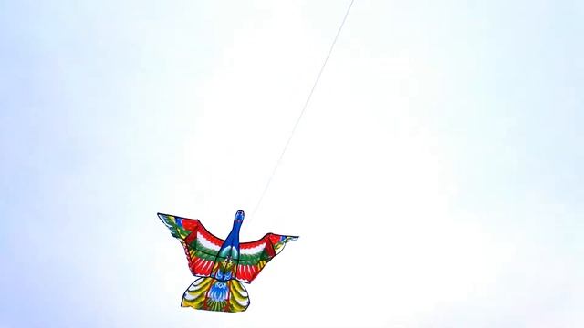 Жар птица смотреть онлайн