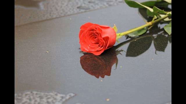 Дефис и немного о любви. Сначала-- о дефисе. С 8м.45сек-- о любви. смотреть онлайн