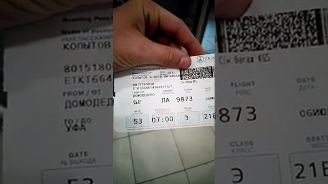 Аэропорт Домодедово Москва✈уфа