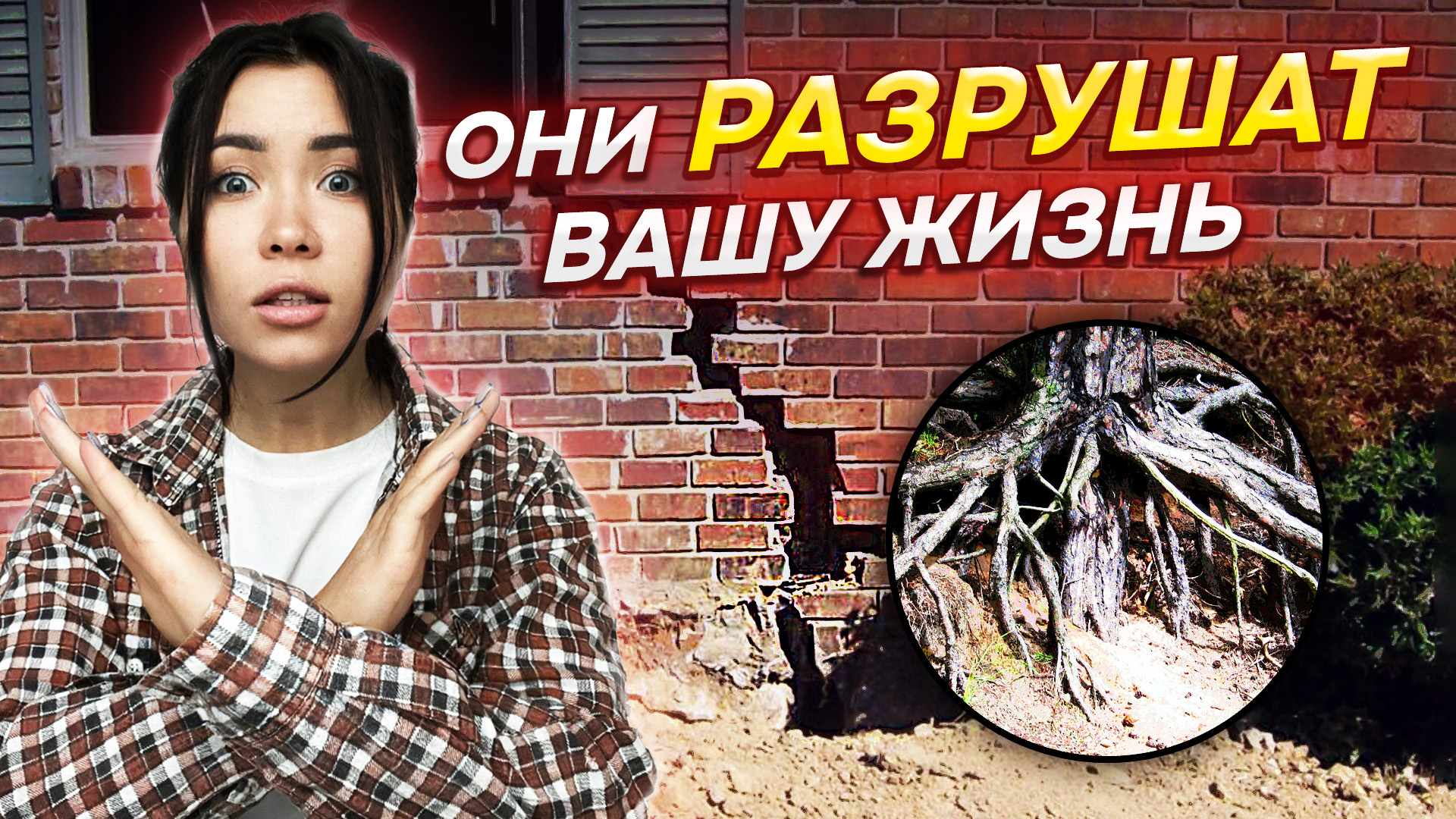 🌳⚡15 деревьев которые КАТЕГОРИЧЕСКИ нельзя сажать рядом с домом (6 соток)
