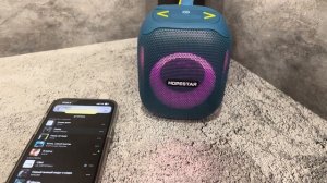 Портативная Bluetooth колонка Hopestar Party 300 Mini