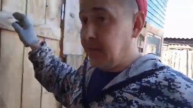 Откормочник для поросят смотреть онлайн