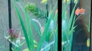 Разбить посуду - на счастье или на беду?