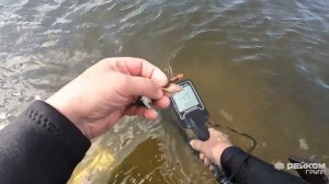 Речные находки с Nokta Legend