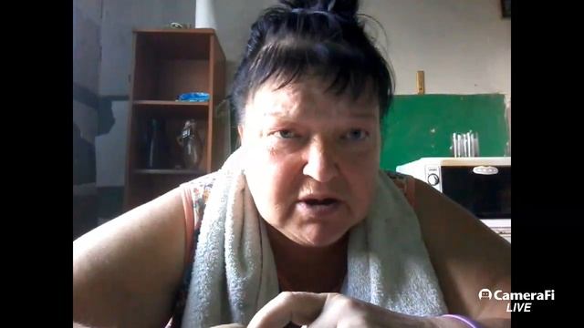 кошка ищет котят смотреть онлайн