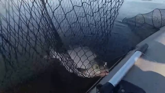 РЫБАЛКА НА ФАРВАТЕРЕ! СНАСТЬ КОЛЬЦО! РЫБАЛКА НА РЕКЕ ВОЛГА ЧАСТЬ 2! смотреть онлайн