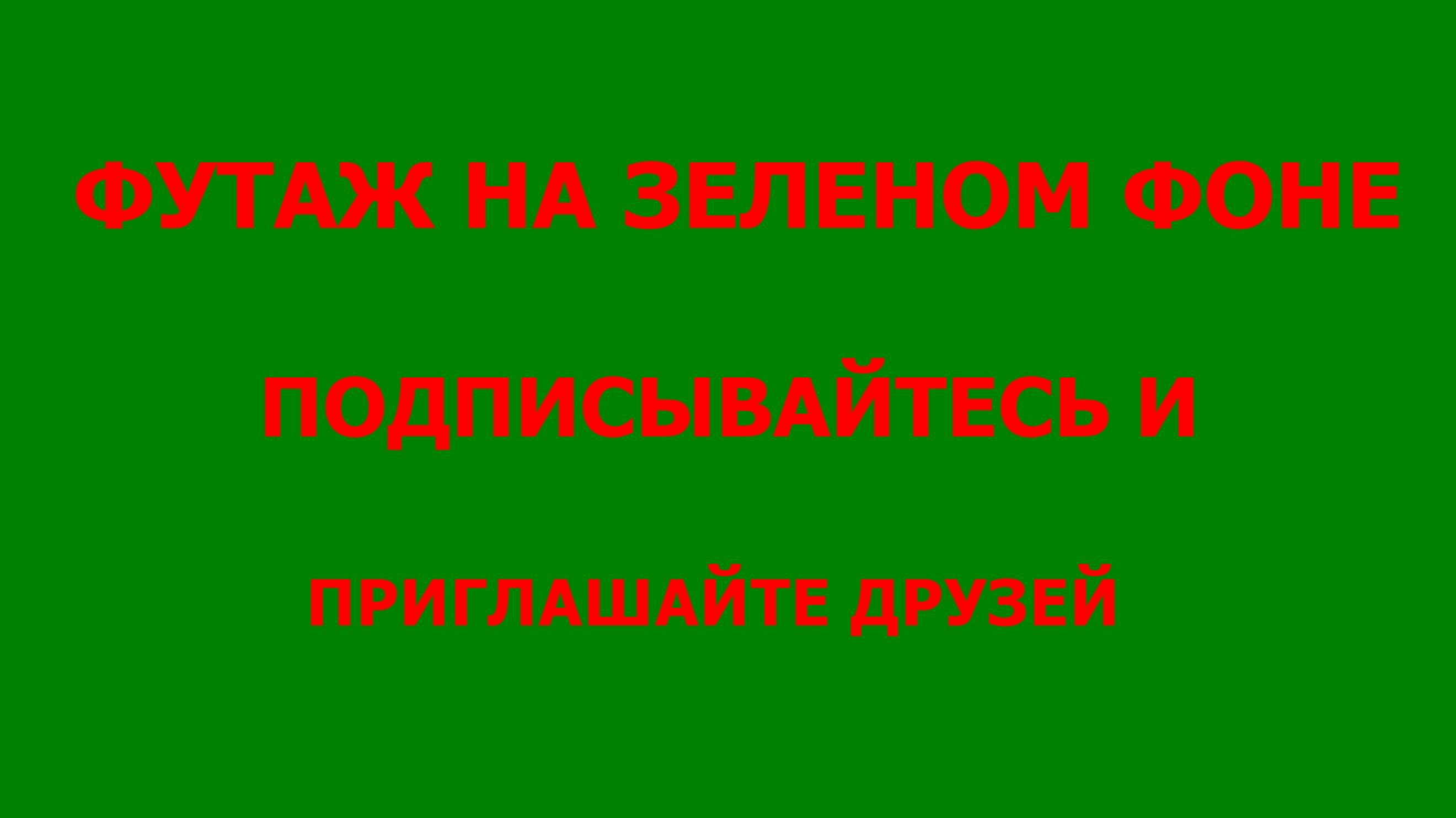 ФУТАЖ  -  - ХРОМАКЕЙ НА ЗЕЛЕНОМ ФОНЕ