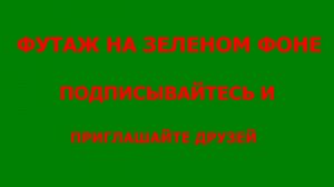 ФУТАЖ - - ХРОМАКЕЙ НА ЗЕЛЕНОМ ФОНЕ