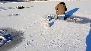 Ловля нельмы на 2-га РК"ФИШКА"ПЕТРЯИХА.