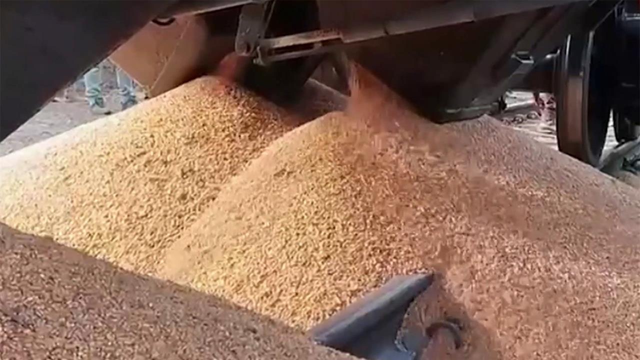 Украина до лета 2025 года сможет без пошлин ввозить свою сельхозпродукцию в ЕС
