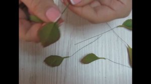 Мастер класс Сакура из фоамирана Часть 1 Листья.